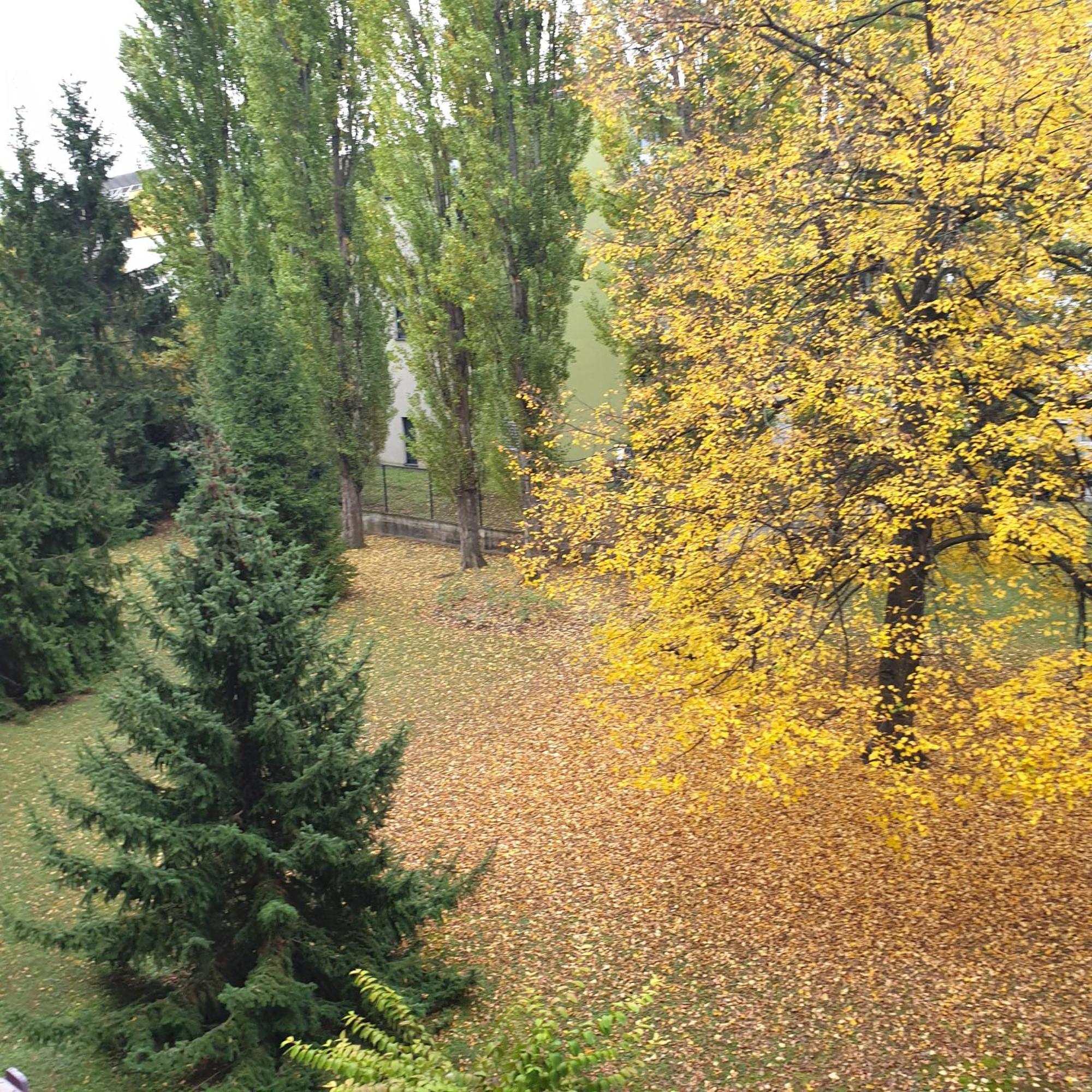 Appartamento Cote Parc Schiltigheim Esterno foto